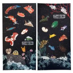 Nudibranchs Bandana -CRESS Dive Gear Shop oceanarium nudibranchs bandana 2
