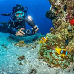 Sea Dragon 3000Sf Pro Dual Kit -CRESS Dive Gear Shop sealife sea dragon 3000sf pro dual kit 11